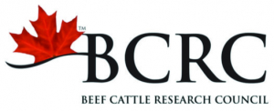 Beef and Cattle Research Council