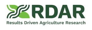 RDAR-logo_horizontal-4-768x253